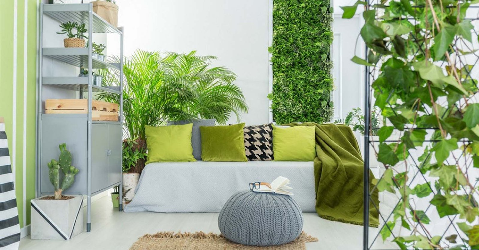 Eco-Friendly Home Decor: Sustainable Choices