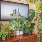 The Best Ways to Incorporate Plants into Your Home Decor